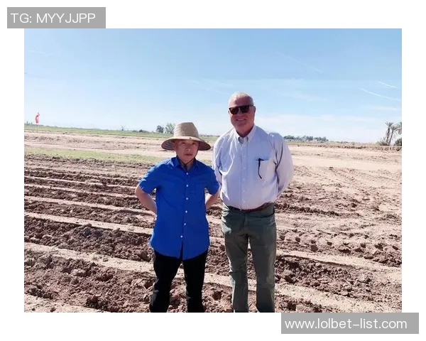 姚明文资产的多元化投资策略与未来发展潜力分析